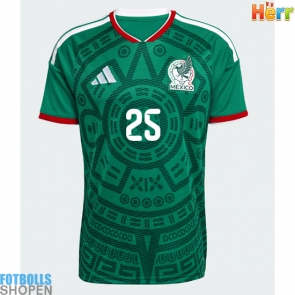Billiga Mexiko Roberto Alvarado #25 Hemmatröja VM 2026 Kortärmad